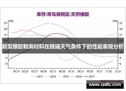 新型橡胶鞋底材料在极端天气条件下的性能表现分析